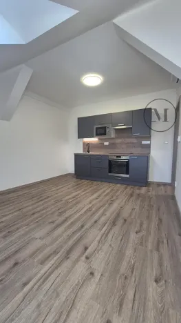 Pronájem bytu 2+kk, České Budějovice, Novohradská, 42 m2