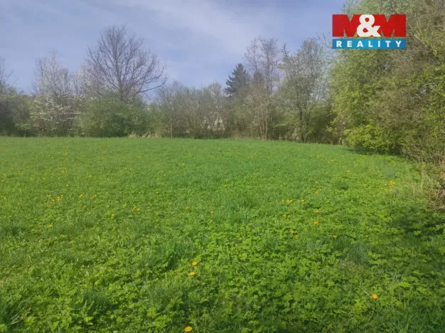 Prodej pozemku pro bydlení, Velké Losiny, 2846 m2