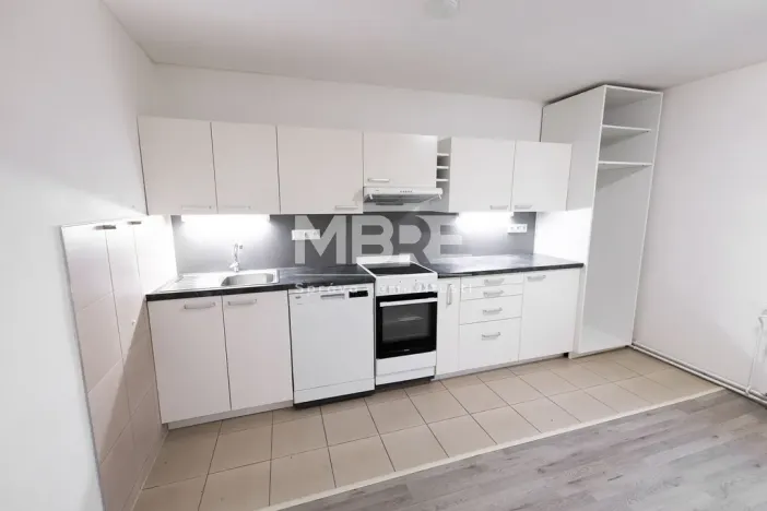 Pronájem bytu 2+1, Štěpánkovice, Mlýnská, 79 m2