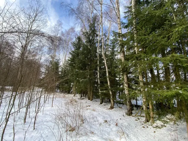 Prodej pozemku, Volfířov - Brandlín, 5958 m2