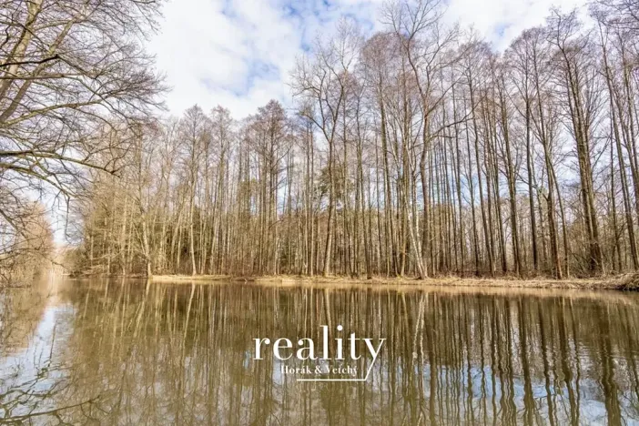 Prodej chaty, Lásenice, 50 m2