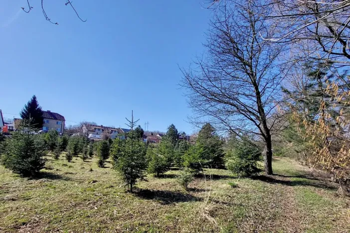 Prodej pozemku pro bydlení, Popůvky, 971 m2