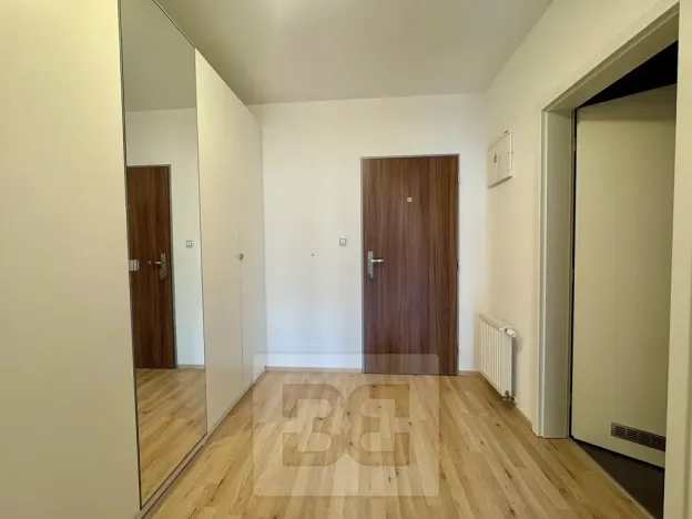Pronájem bytu 1+kk, Brno, Kigginsova, 42 m2
