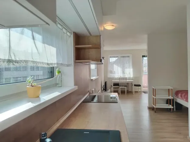 Pronájem bytu 1+kk, Plzeň, Klatovská třída, 47 m2