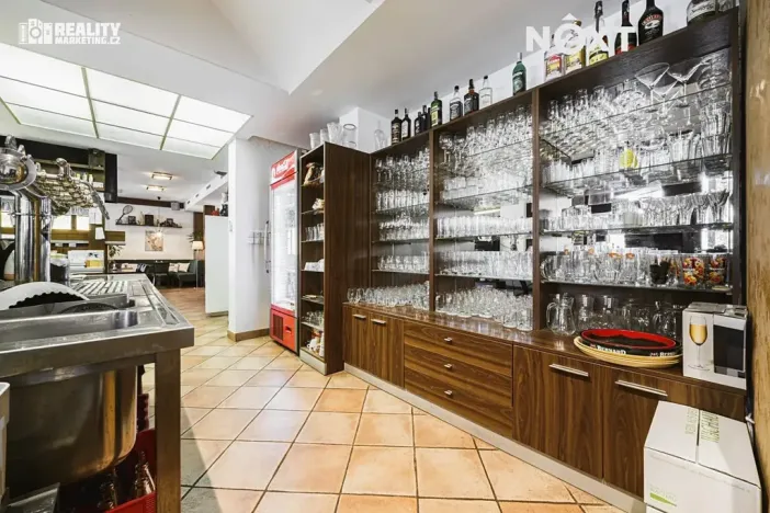 Prodej ubytování, Račice-Pístovice, 304 m2