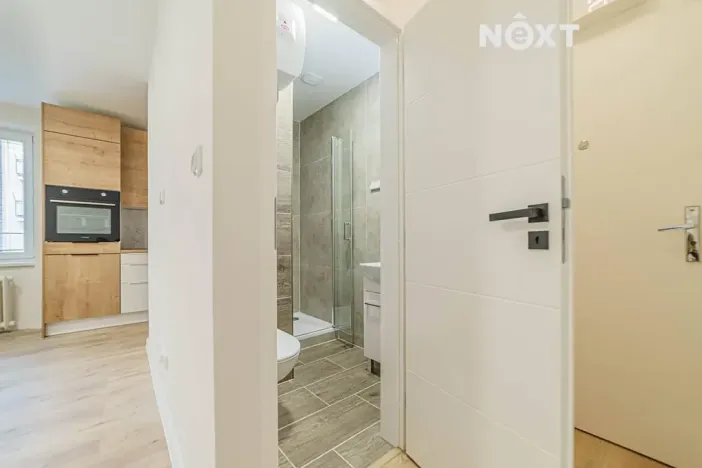 Pronájem bytu 1+kk, Ostrava, Letecká, 22 m2