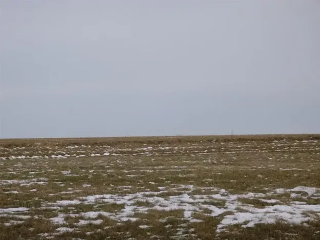 Dražba pole, Nová Sídla, 66956 m2