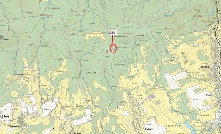 Dražba lesa, Lačnov, 2442 m2