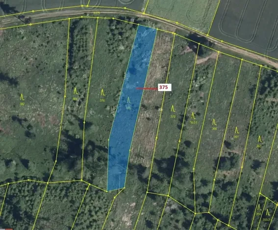 Dražba lesa, Chotěbudice, 1497 m2