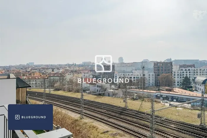 Pronájem bytu 1+kk, Praha - Vinohrady, Perucká, 27 m2