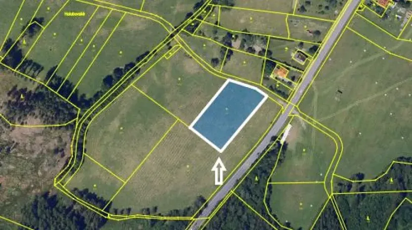 Prodej pole, Nasavrky, 4316 m2