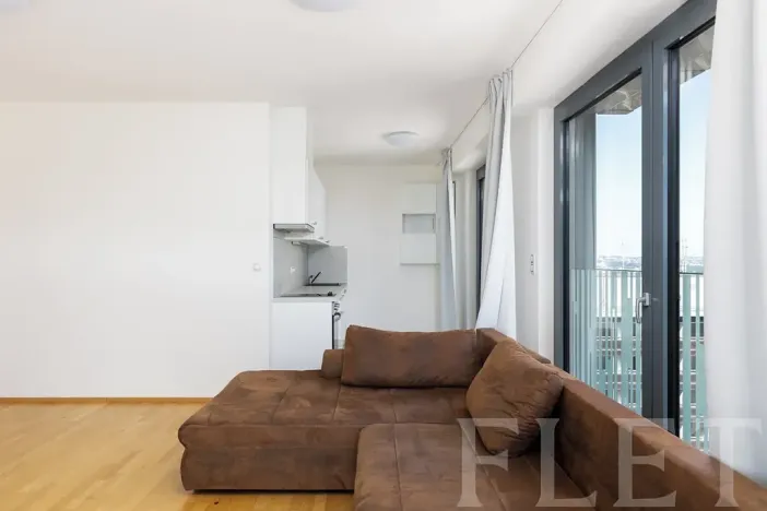 Pronájem bytu 2+kk, Praha - Žižkov, Olšanská, 56 m2