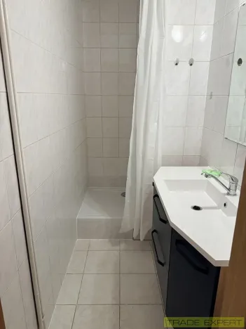 Pronájem bytu 1+1, Praha - Braník, Mezivrší, 55 m2