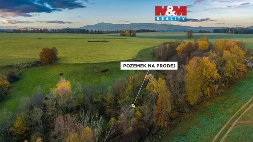 Prodej louky, Bílá - Hradčany, 6046 m2