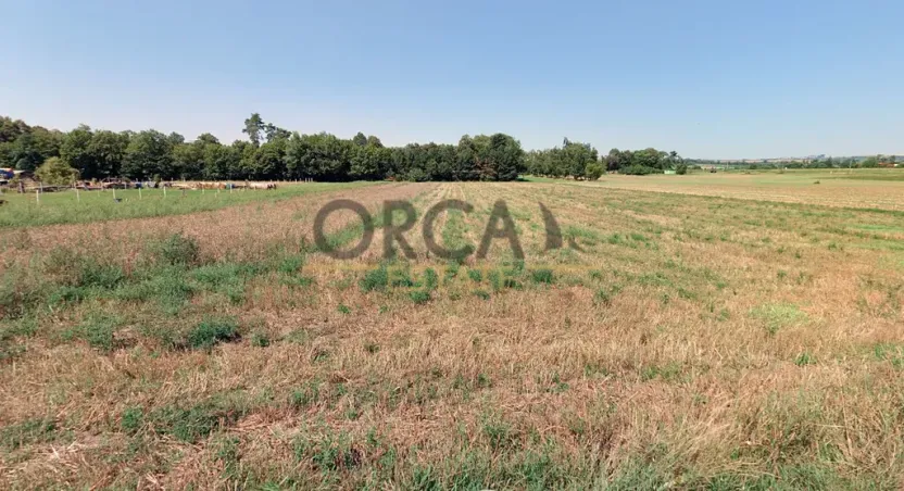 Prodej pole, Moravský Písek, 1243 m2