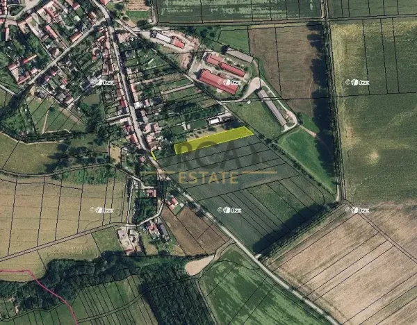 Prodej pole, Krumsín, 2944 m2