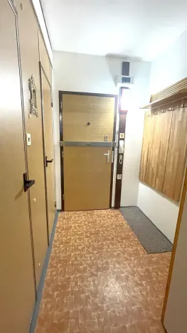 Pronájem bytu 1+kk, Praha - Chodov, Nad Opatovem, 30 m2