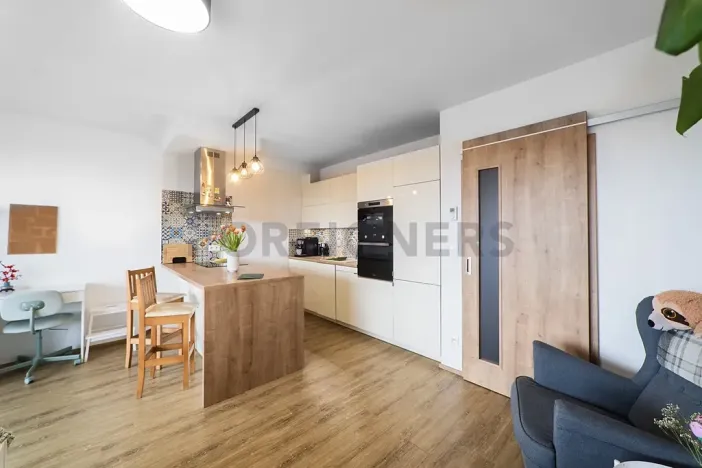 Prodej bytu 1+kk, Olomouc, Loudova, 36 m2