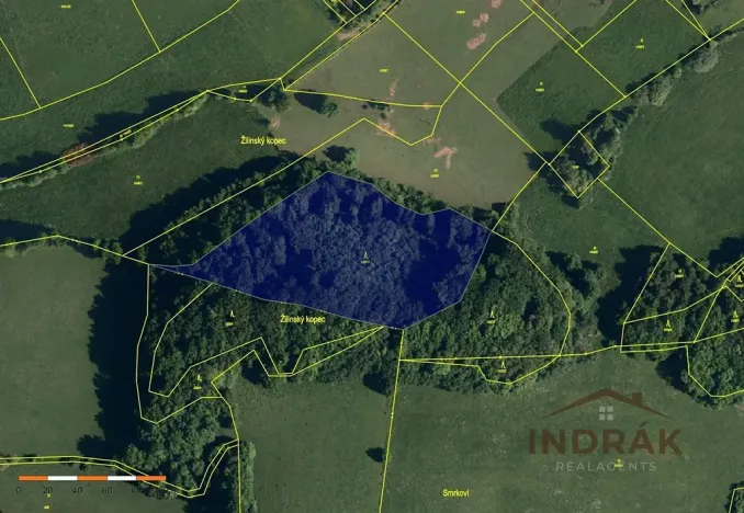 Prodej lesa, Nový Jičín, Na Samotě, 13092 m2