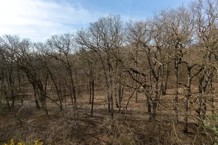 Prodej bytu 3+1, Praha - Kobylisy, Jelínkova, 63 m2