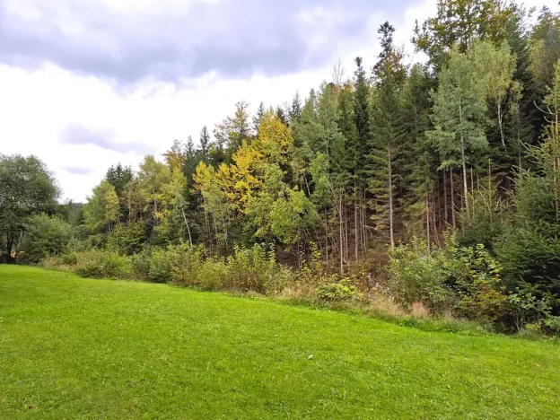 Prodej bytu 2+1, Železná Ruda, 53 m2