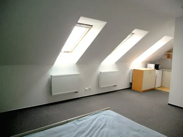 Pronájem bytu 1+kk, Ostopovice, Družstevní, 32 m2