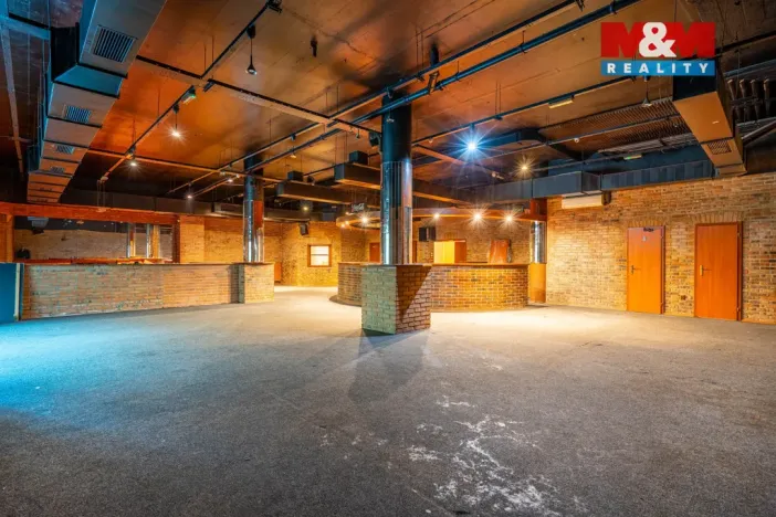 Prodej obchodního prostoru, Praha, Trnkovo náměstí, 324 m2