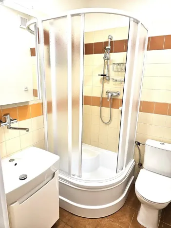 Pronájem bytu 1+kk, Brno, Šmejkalova, 37 m2