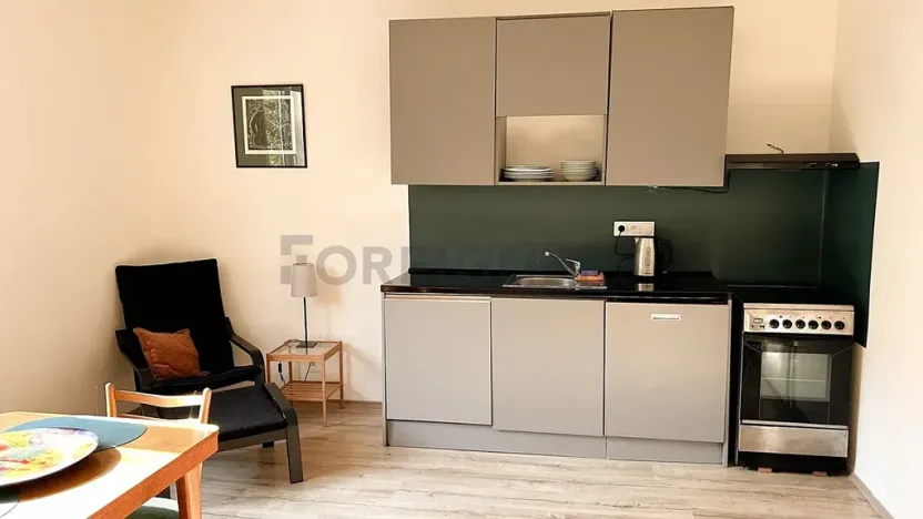 Pronájem bytu 1+kk, Praha, Na hroudě, 36 m2