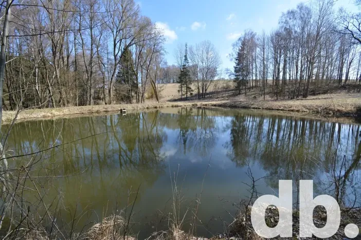 Prodej rybníku, Toužim, 5506 m2