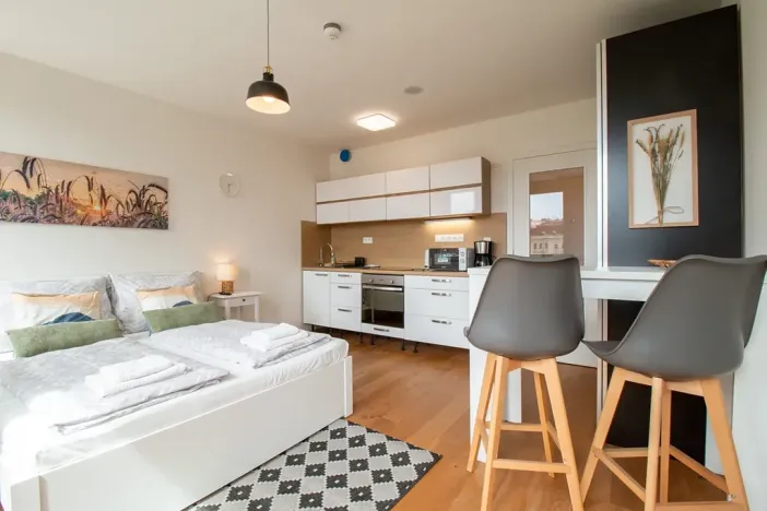 Pronájem bytu 1+kk, Praha - Vinohrady, Perucká, 25 m2