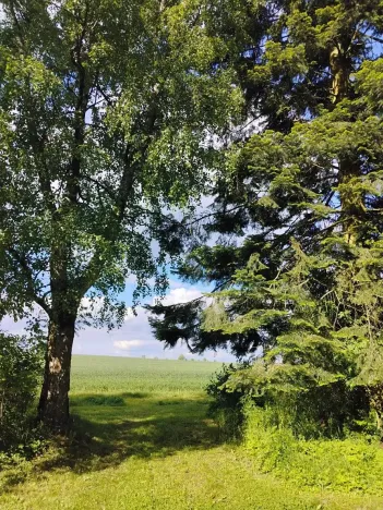 Pronájem chalupy, Mladý Smolivec, 65 m2