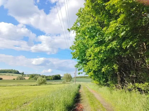 Pronájem chalupy, Mladý Smolivec, 65 m2