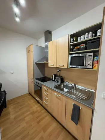 Pronájem bytu 1+kk, Brno, Kosmova, 40 m2