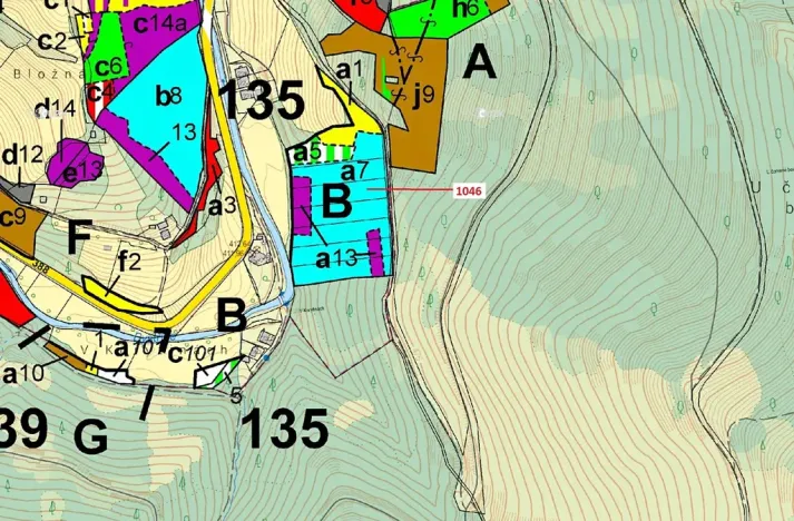 Dražba lesa, Vír, 2432 m2