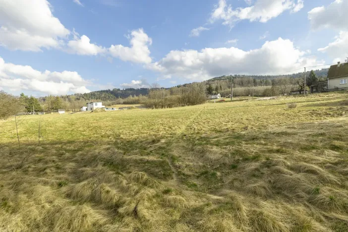 Prodej pozemku, Vyšní Lhoty, 3033 m2