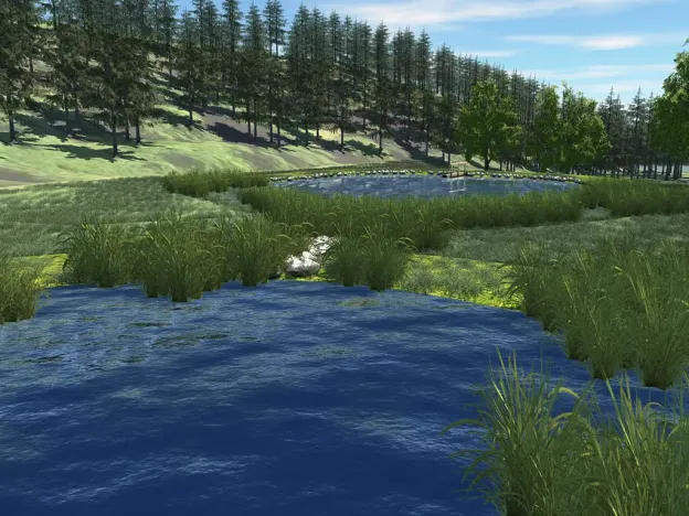 Prodej rybníku, Petrov, 7803 m2