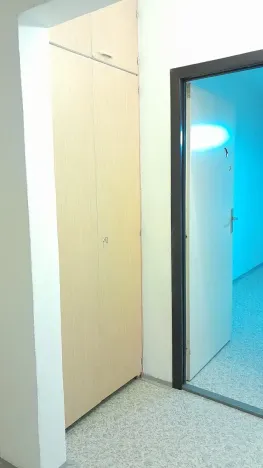 Prodej bytu 3+1, Ostrava, Bedřicha Václavka, 68 m2