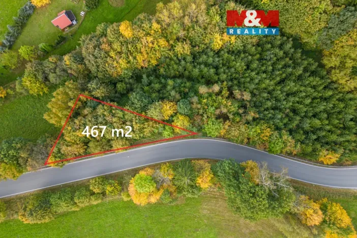 Prodej lesa, Kosov, 467 m2