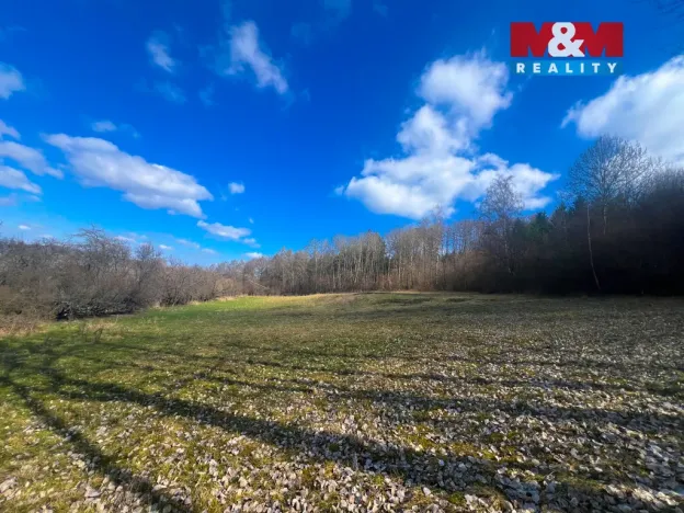 Prodej louky, Sušice - Sušice III, 8056 m2