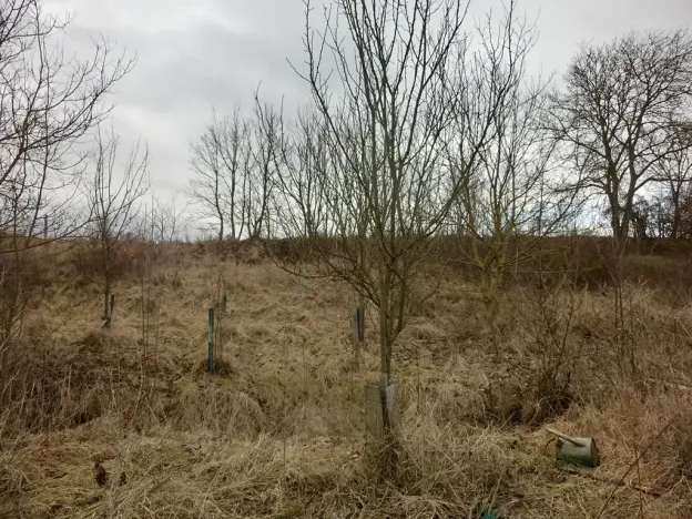 Prodej zahrady, Kunovice, 878 m2