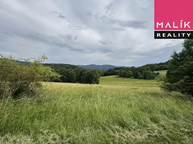 Prodej louky, Stráž nad Ohří, 308543 m2