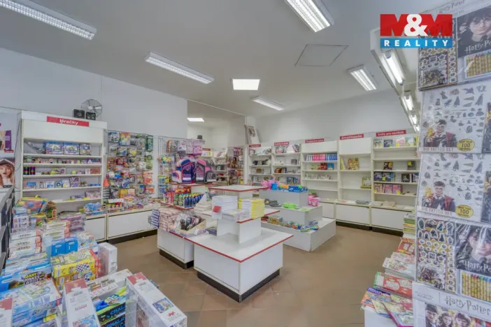 Pronájem obchodního prostoru, Plzeň - Vnitřní Město, Bedřicha Smetany, 304 m2