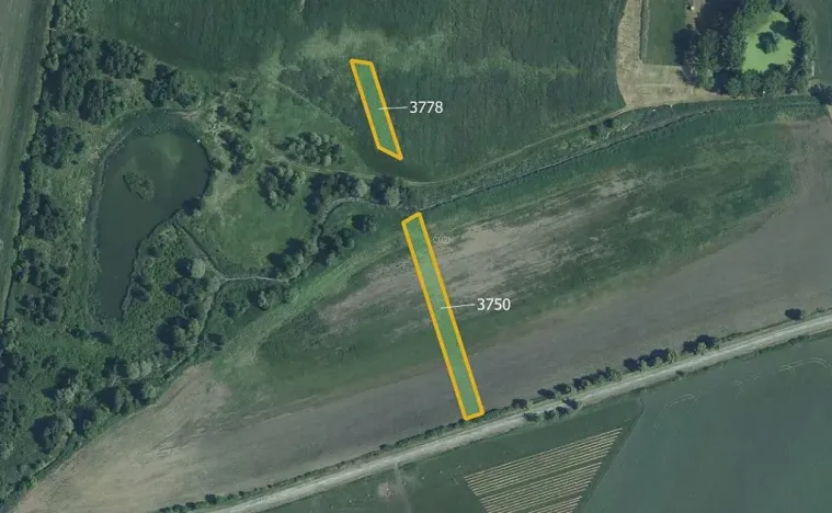 Prodej pole, Starovičky, 5778 m2