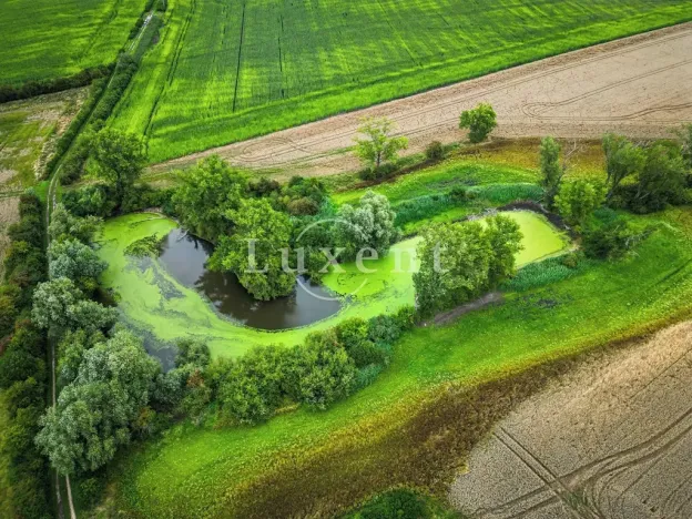 Prodej zemědělské usedlosti, Běrunice, 600 m2