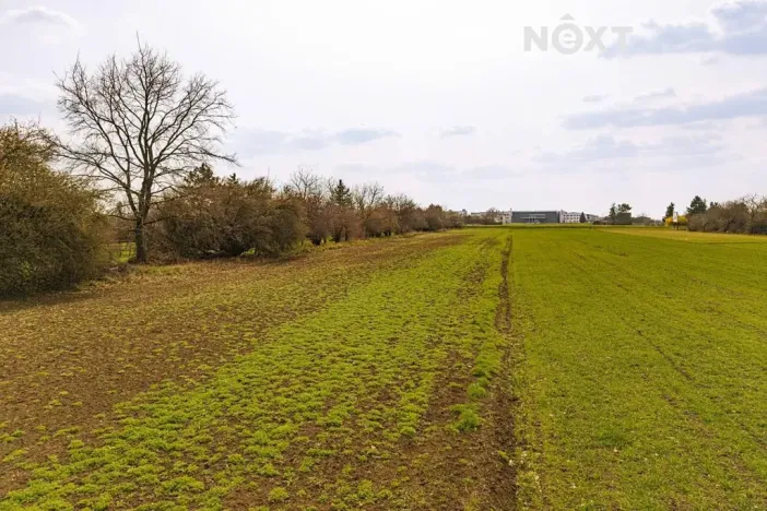 Prodej pozemku pro bydlení, Brno, 2814 m2