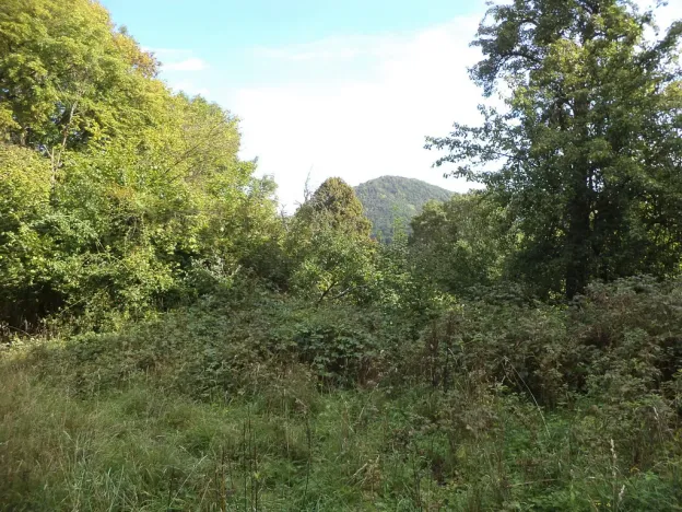 Prodej pole, Malé Březno, 14517 m2