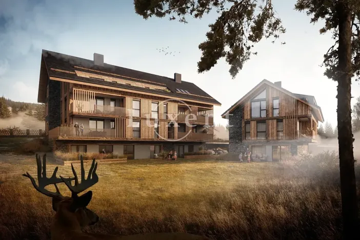 Prodej bytu 1+kk, Prášily, 56 m2