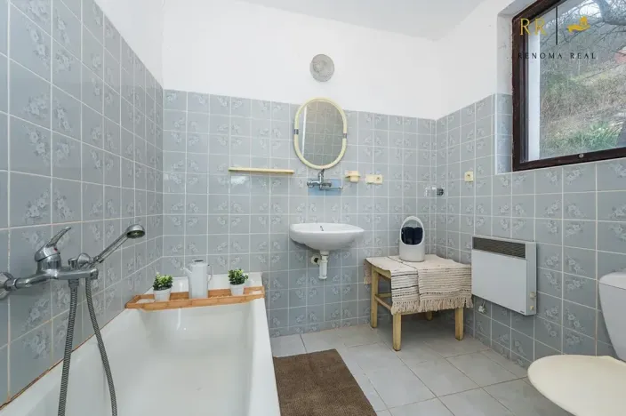 Prodej komerční nemovitosti, Vranov nad Dyjí, Zadní Hamry, 307 m2