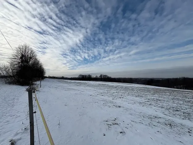 Prodej louky, Bruzovice, 94427 m2